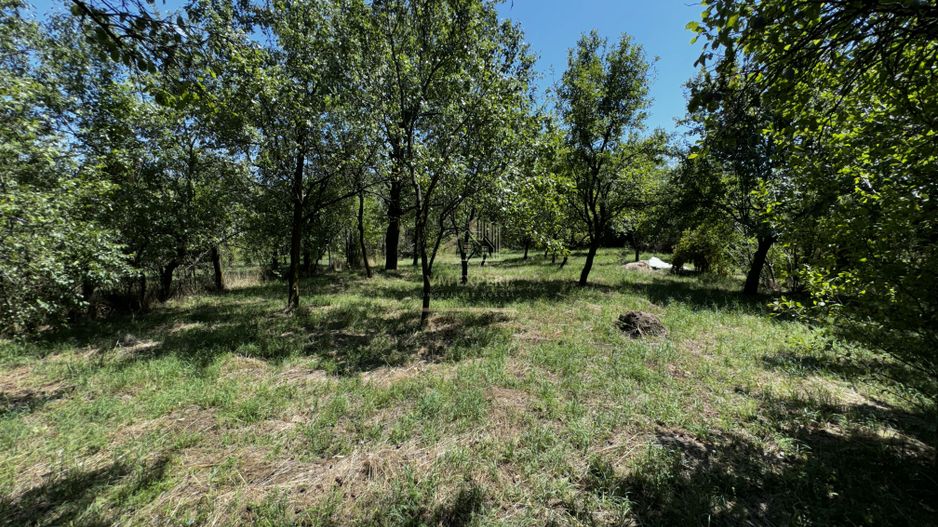 CASA 4 CAMERE CAMPULUNG, TEREN 3213 MP - Poză 29