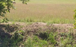 Teren intravilan -Sânișor- 8700 mp - Poză 3