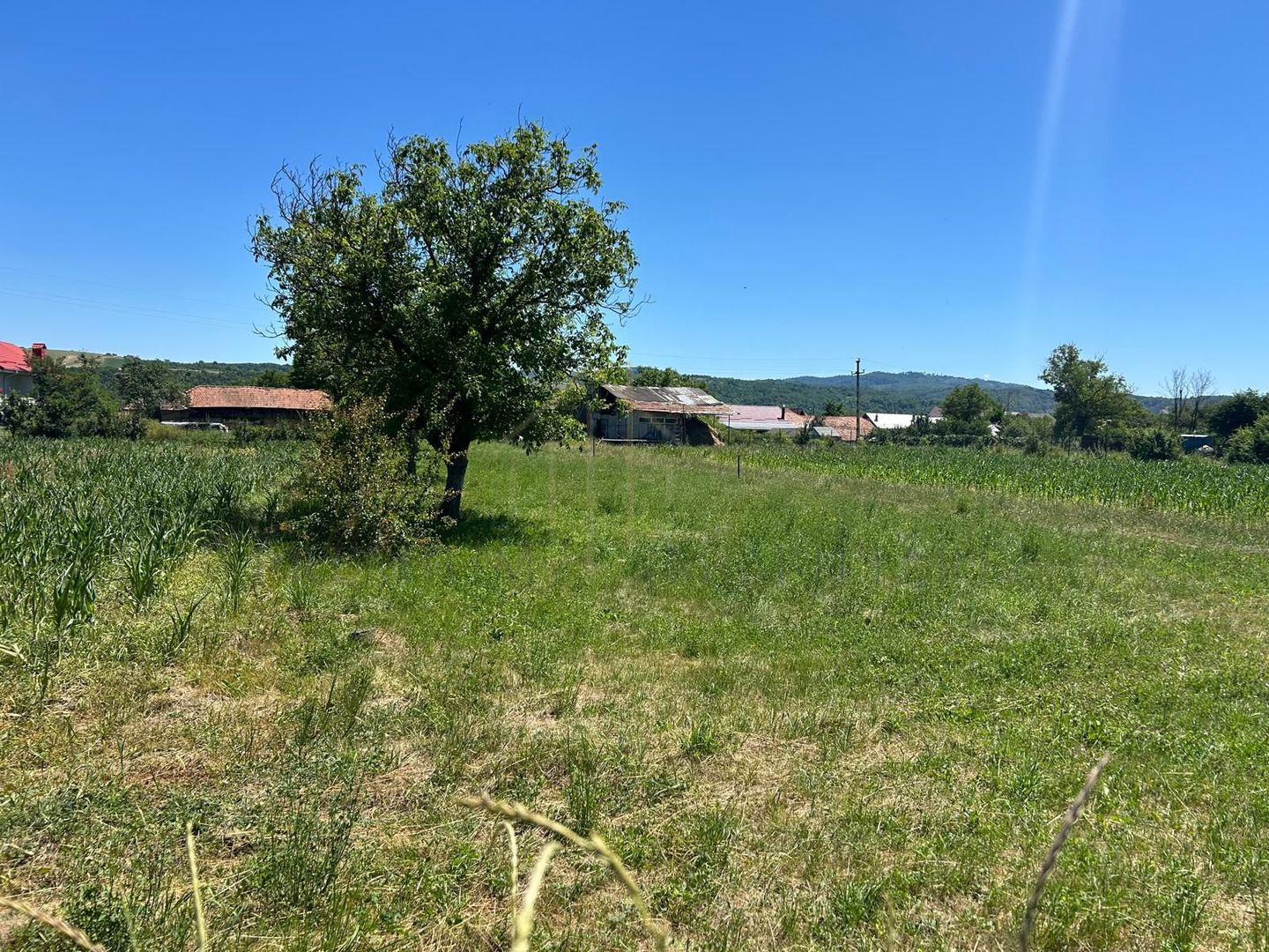 Teren intravilan de vânzare – Cașin, județul Bacău - Poză 4