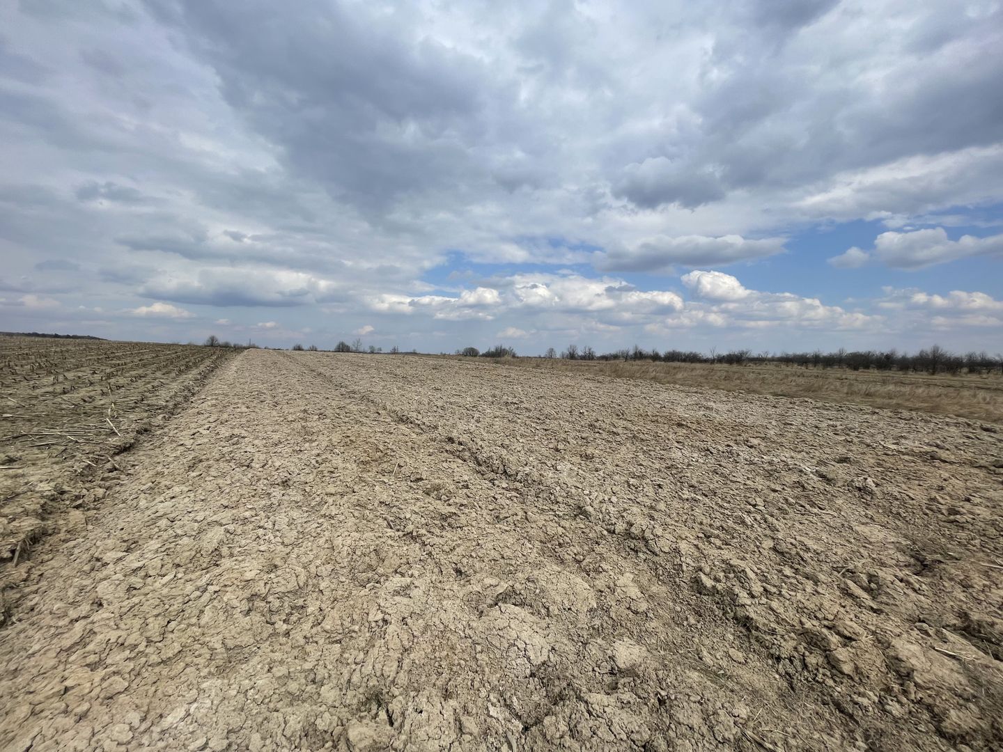 TEREN EXTRAVILAN | 23 ARI | HORODNIC DE SUS - Poză 2