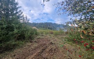 Teren de vanzare Jelna | 40 ari | Extravilan - Poză 4