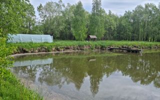 CASA 3 CAMERE, TEREN 6200 MP + 2 LACURI, CAMPULUNG, NAMAIESTI - Poză 24