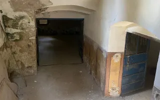 Conac nobiliar de secol XIX cu 8 camere în Maciova - Poză 34