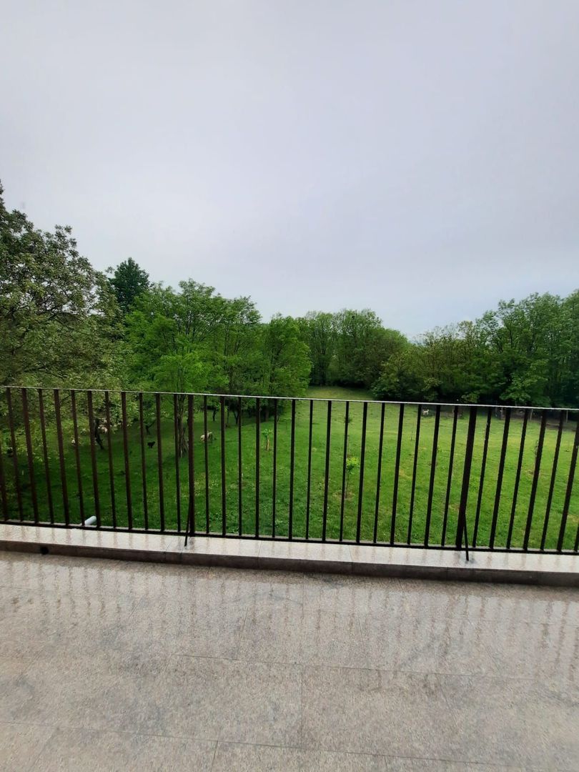 CASA DE 263MP, TEREN DE 8142M2 IN OARDA DE SUS LA 350.000, NEGOCIABIL - Poză 14