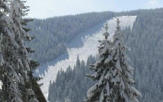 Cabana in Arieseni - Poză 3