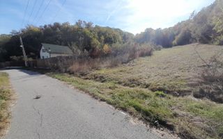 TEREN DE VANZARE IN BABANA, ARGES,  LANGA PADURE - Poză 1