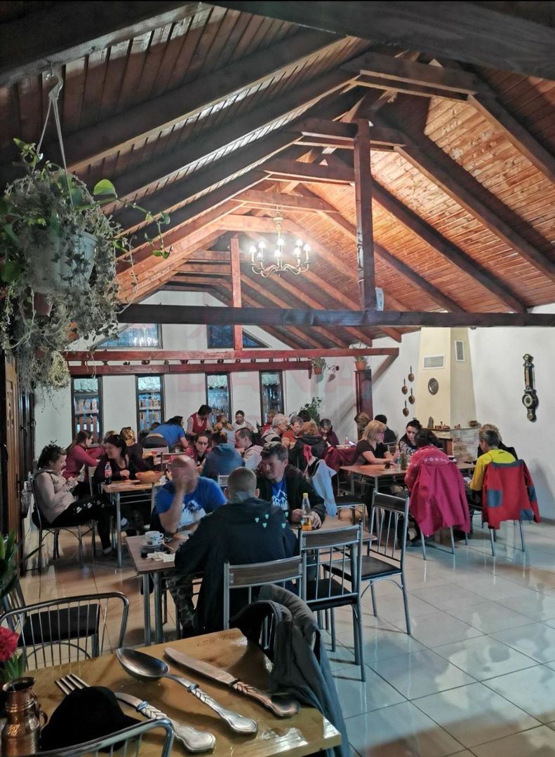 CASĂ\VILĂ DE VÂNZARE \COM. OBREJA\SAT IAZ\CARAȘ-SEVERIN - Poză 15