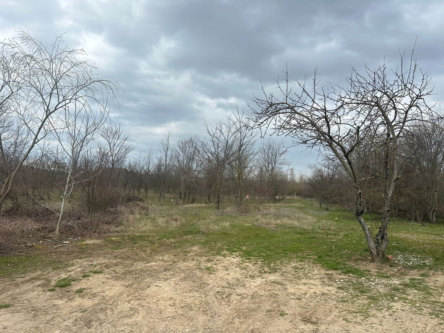 Teren intravilan cu PUZ aprobat 33.683 mp – Săftica/Balotești – deschidere DN1 - Poză 19