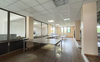 Clădire Industrială Hală Producție, Depozitare, Birouri-Teren 3140 mp - Carei - Poză 6