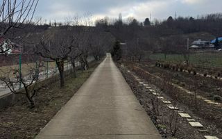 CASĂ DE VÂNZARE – CARTIER ANDRĂȘEȘTI - Poză 7