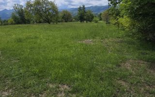 teren intravilan - 2 minute de centru Prundu Bargaului - 26 parcele - Poză 3