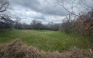 TEREN INTRAVILAN 2153 MP IN VALEA MARE PRAVAT - Poză 1