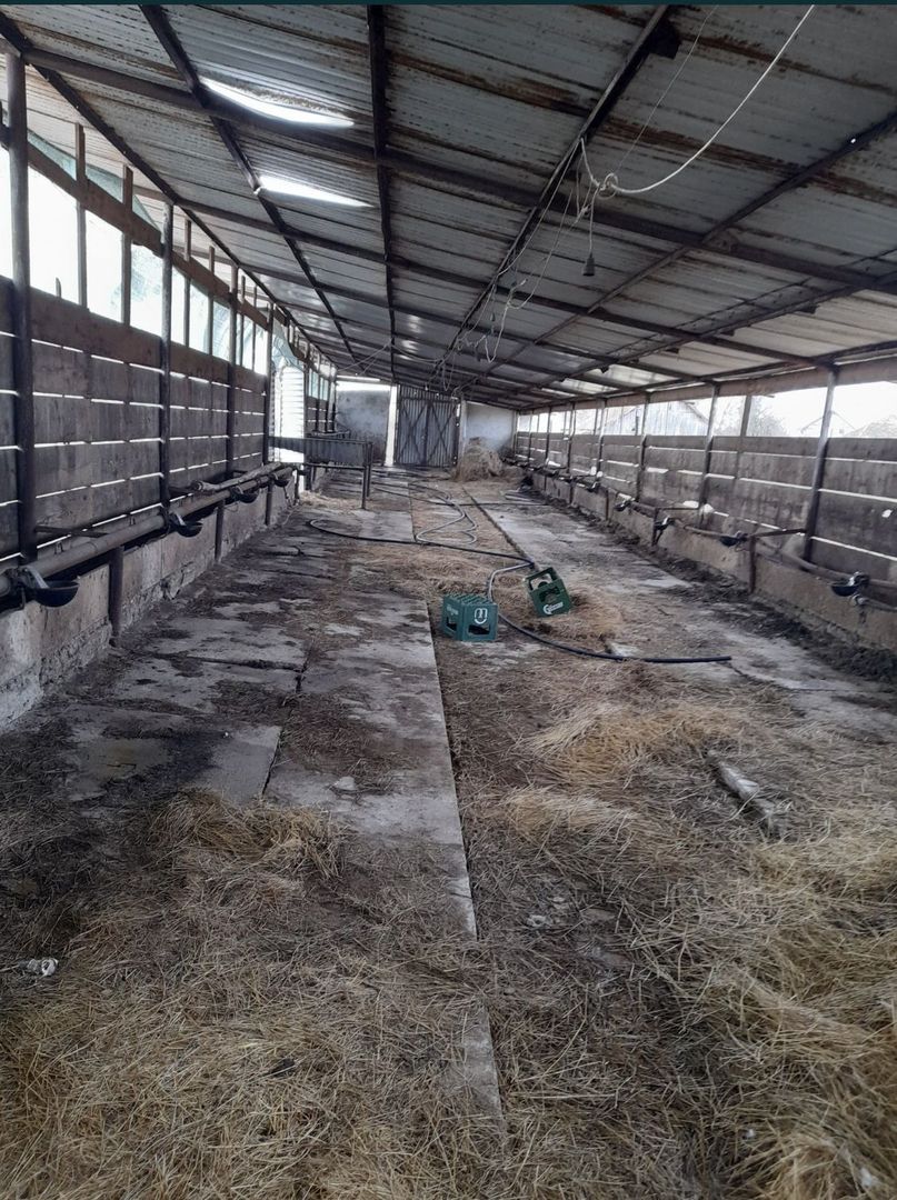 Vand casa cu grajd si teren in Satu Mare Com Craidorolot Jud Satu Mare 2 - Poză 7