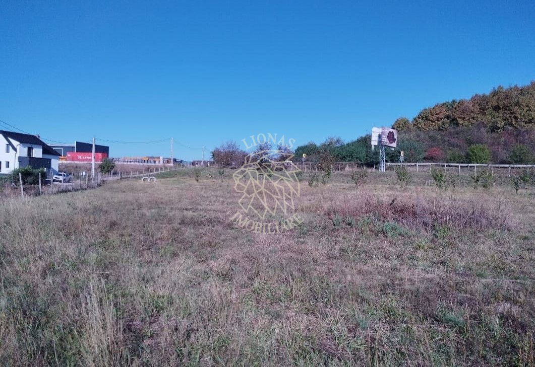 Teren intravilan 1,23 Ha la DN17 cu utilitati-livada-Crainimat - Poză 2