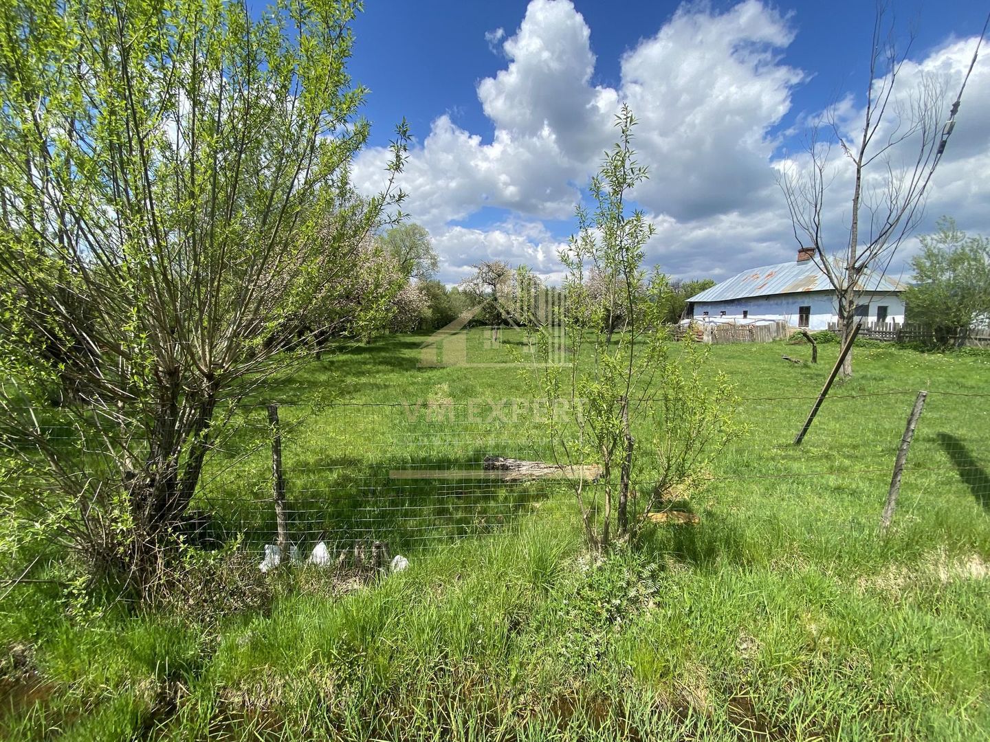 CASA CU TEREN 4000 MP, LA 5 MINUTE DE CENTRU CAMPULUNG - Poză 3