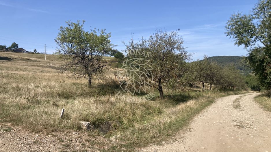 Oportunitate investitie! Teren 550 mp - Zona Centura - Poză 2
