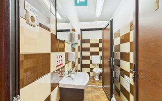 Casă și clădire de apartamente la Orțișoara - Poză 20