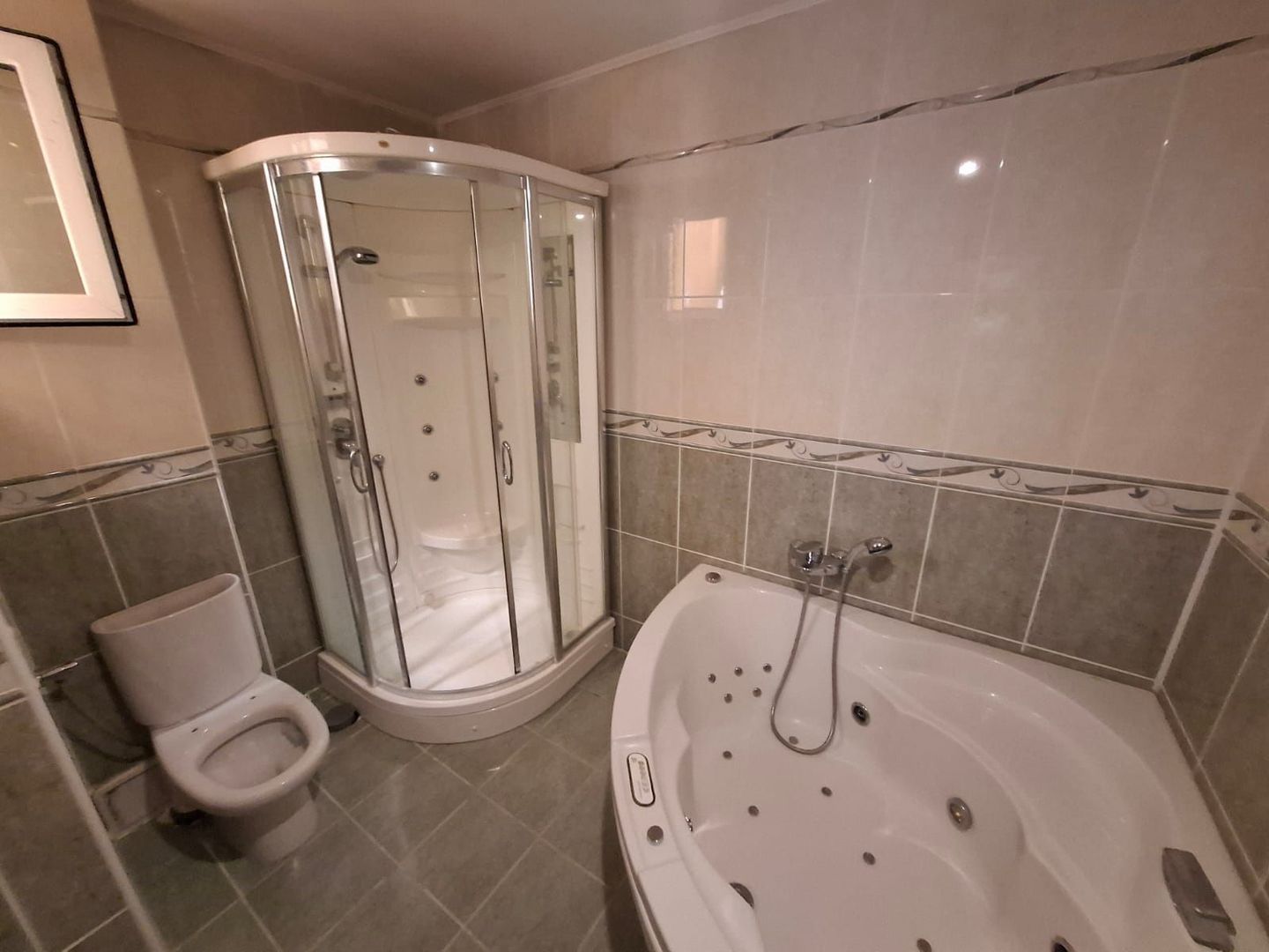 Casa individuala Bucovina P+E+M - Poză 15