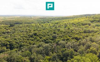TEREN AGRICOL EXTRAVILAN  22.900 MP LIPOVA - Poză 3