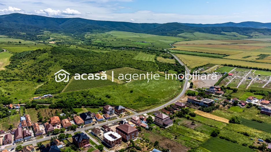 PRET REDUS Oportunitate de afacere, Teren cu vita de vie - Poză 2