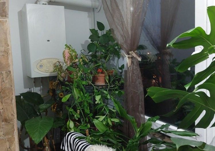 COMISION 0 | Apartament 3 Camere | Et. 2 | Izolat | Centrala | Sagului - Poză 3