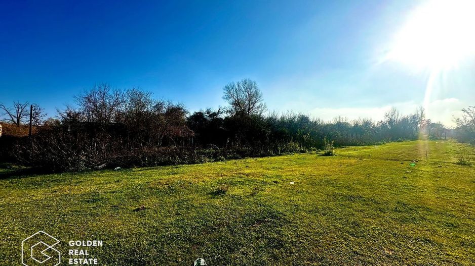 Teren intravilan 71.000mp, Barsa, Renumita Fabrica de caramida si casa 4 camere - Poză 11