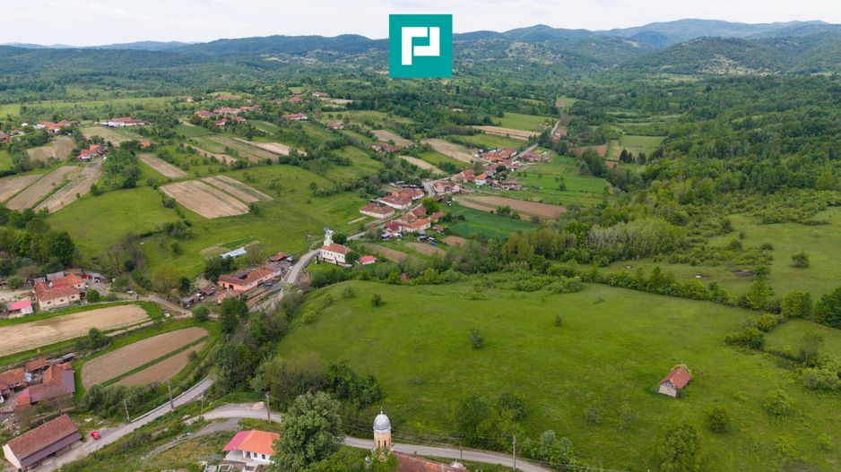 Proprietate de poveste pe Valea Mureșului, Lupești - Poză 6