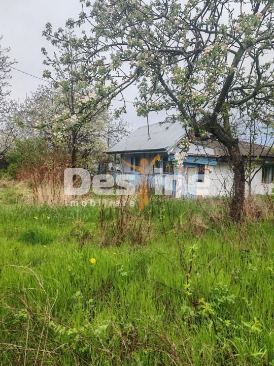 Teren intravilan in suprafata de 3160 mp, Puscasi, Poiana lui Alexa - Poză 1