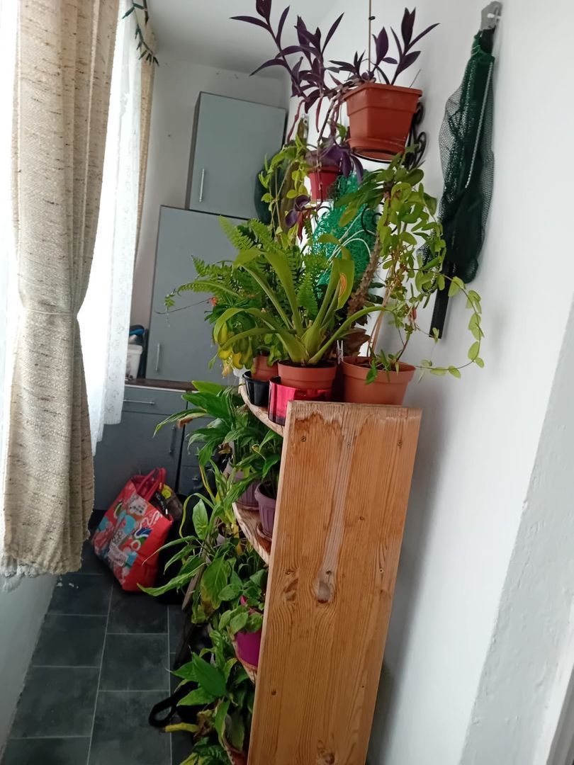 COMISION 0%, 3 Camere, 2 Balcoane, 60 mp, Centrala, Spitalul Judetean - Poză 9