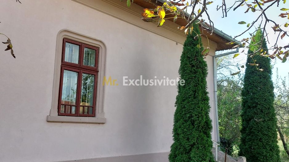 Casă individuală cu 4 camere în Burila Mare, jud. Mehedinți - Poză 39