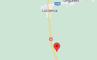 Teren extravilan 10.000 mp - Lucianca - Butimanu - Poză 1