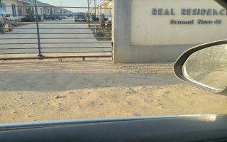 Teren Clinceni 2000 mp vand schimb sau asociere - Poză 2
