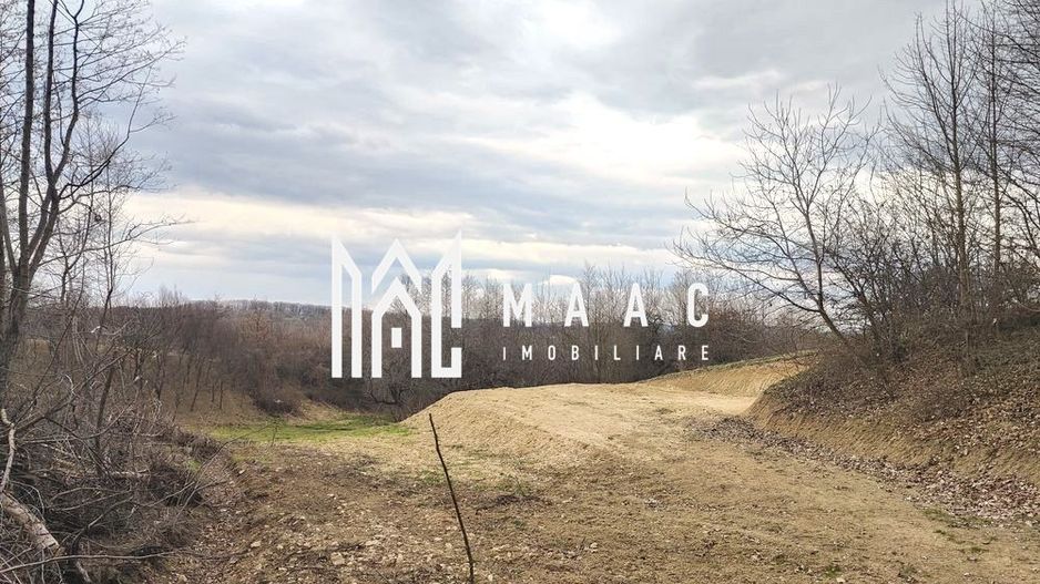 Teren extravilan agricol 1.184 mp | Sibiel | utilități la 100 m - Poză 7