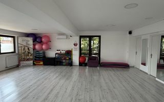 Spațiu Comercial 75 mp cu Terasă 25 mp, Tătărași, Bulevard, Etaj 2 - Poză 3