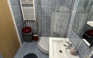 Apartament 2 camere | 40MPU | Pet Friendly | Terezian | Mansarda - Poză 4