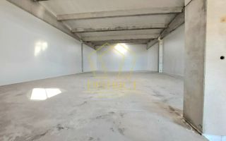 Spatiu tip Hala Noua I Sanandrei - Poză 2