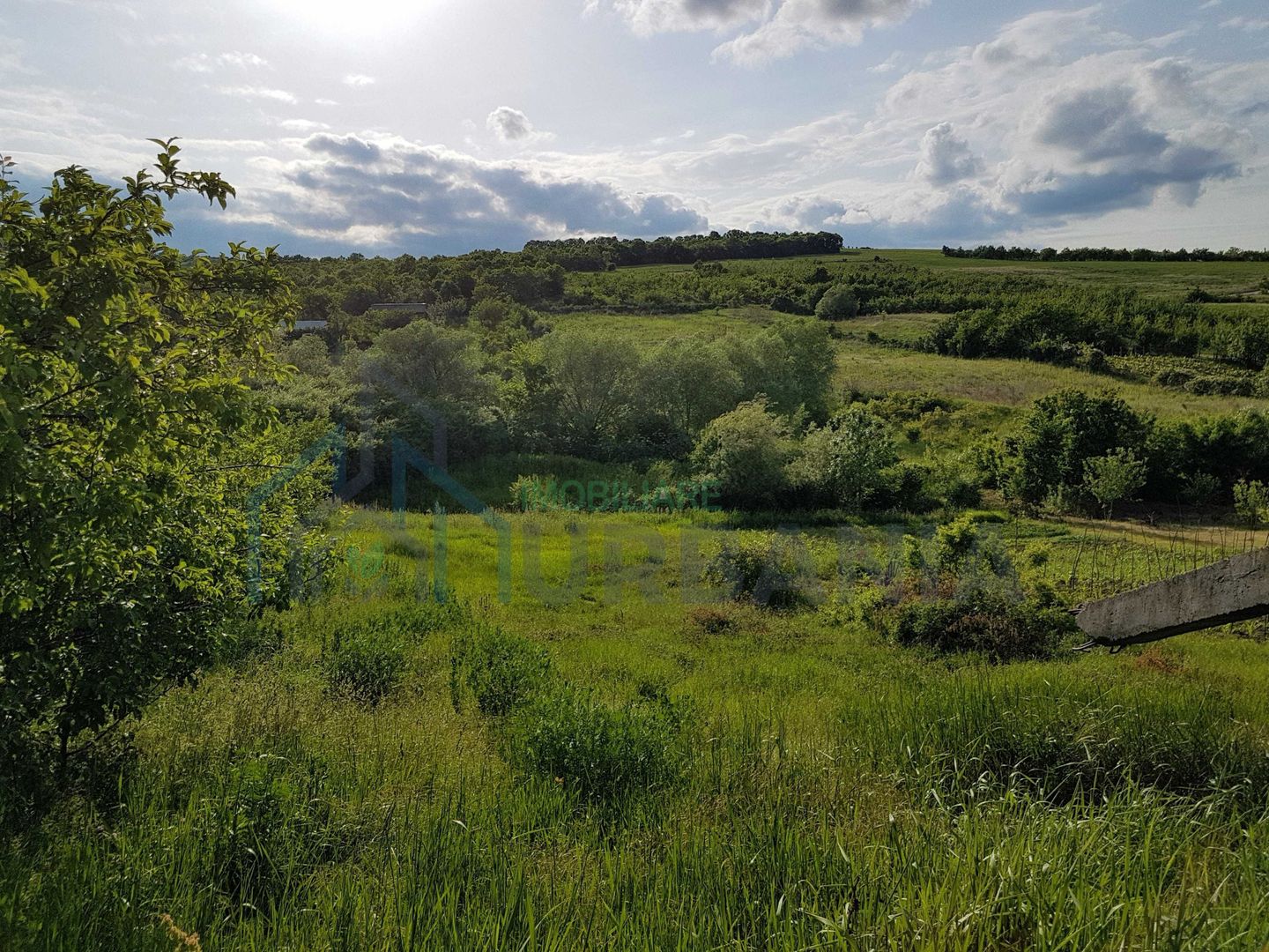 Teren intravilan de vanzare, Chicerea, 1600 mp - Poză 2