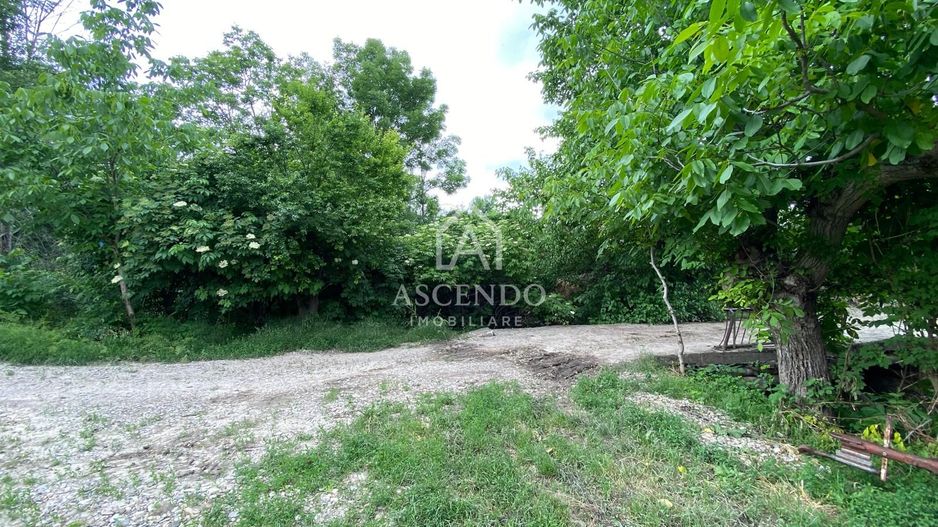 Domeniu 15.900 mp în Fințești | Casă + Investiție Dealu Mare - Poză 26