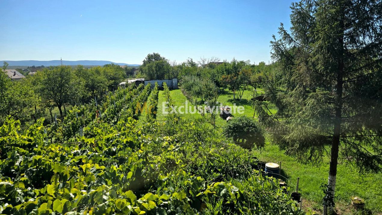 casa 3 camere Viile Satu Mare - Poză 2