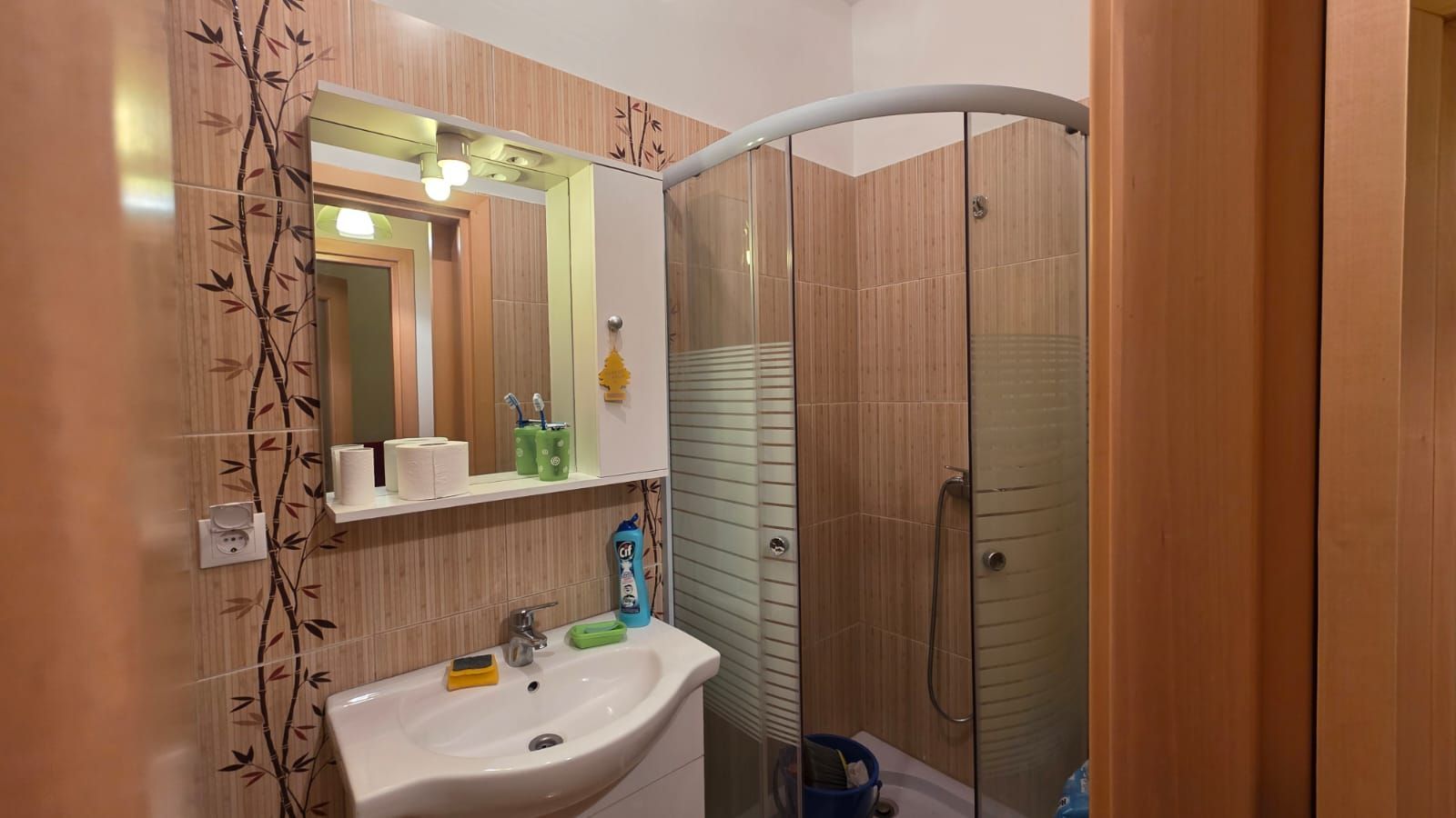 APARTAMENT 1 CAMERA 30MP CUG VISOIANU - Poză 9