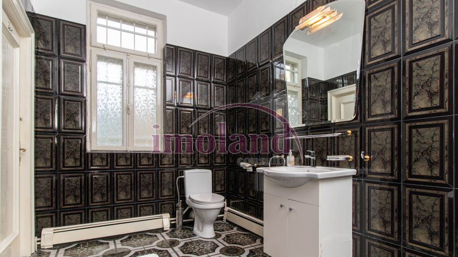 Inchiriere - Rezidenta/Birouri - Vila cu curte - Aviatorilor - Poză 22