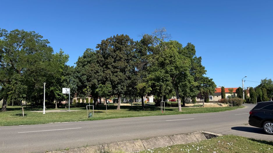 Teren 1000 mp in Iosia | Parcul Ghioceilor - Poză 1