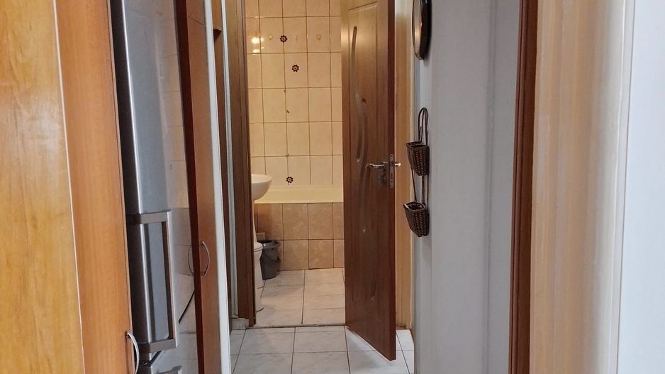 APARTAMENT KISELEF | PARCUL HERASTRAU - Poză 7