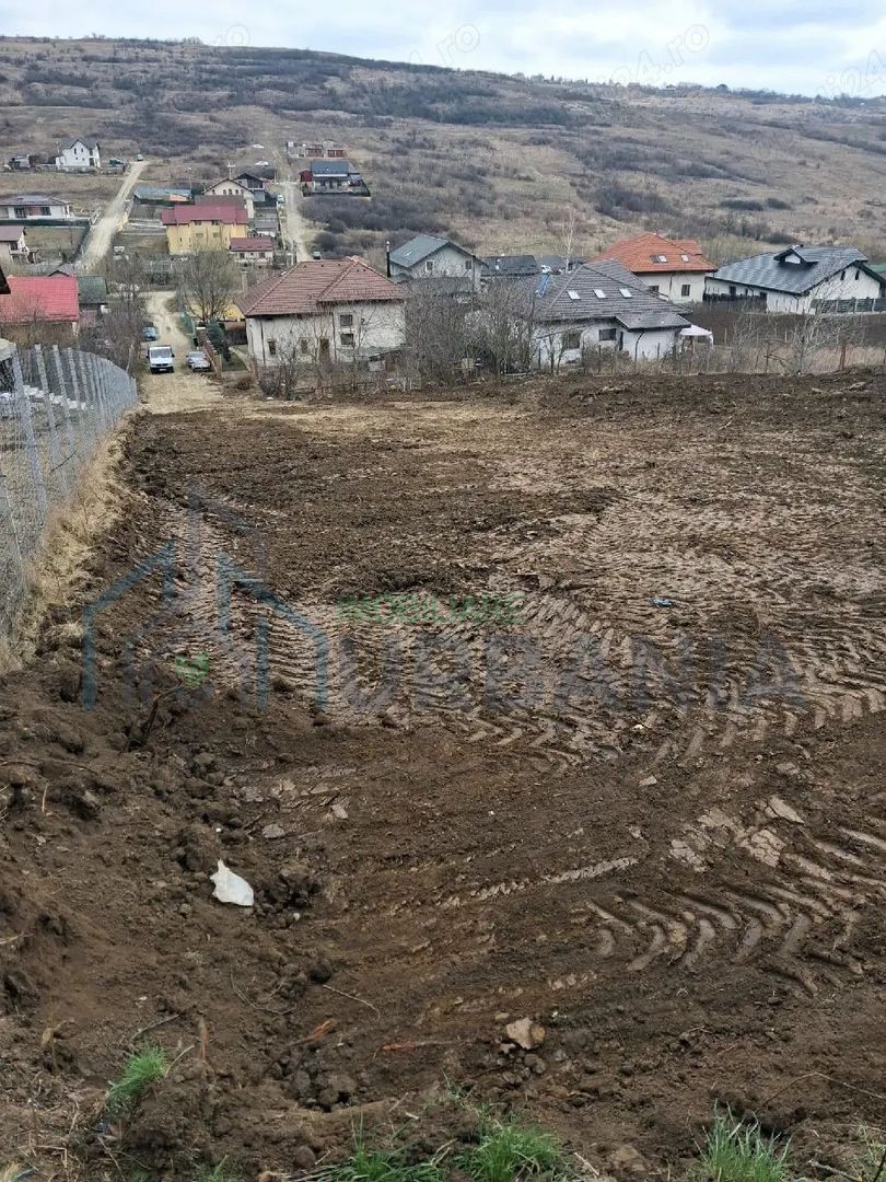 Teren intravilan Dorobanti - Poză 10