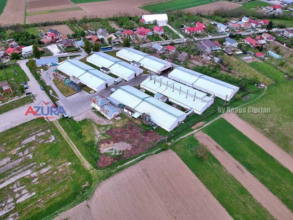 COMISION 0% - HALE Calinesti Arges - Poză 1