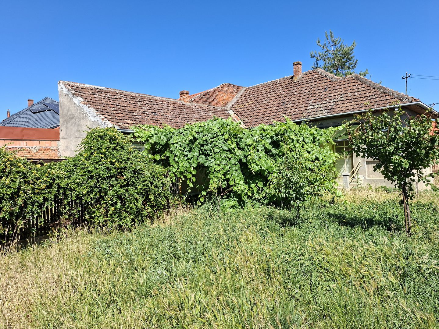 BRASADAS vinde casa 3 cam cu teren 5 ari in 14 Mai. - Poză 5