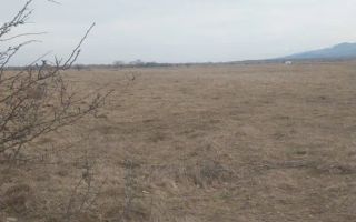 Teren intravilan I Valea Avrigului I 5000 mp - Poză 4