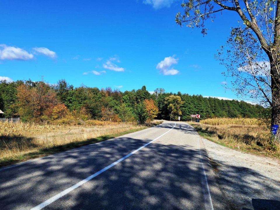 TEREN INTRAVILAN ȘI EXTRAVILAN BAIA DE FIER - Poză 9