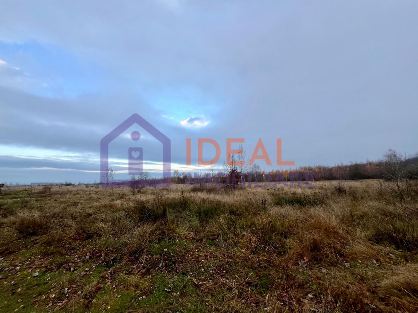 Teren extravilan 6.500 mp – două căi de acces, Cârțișoara - Poză 4