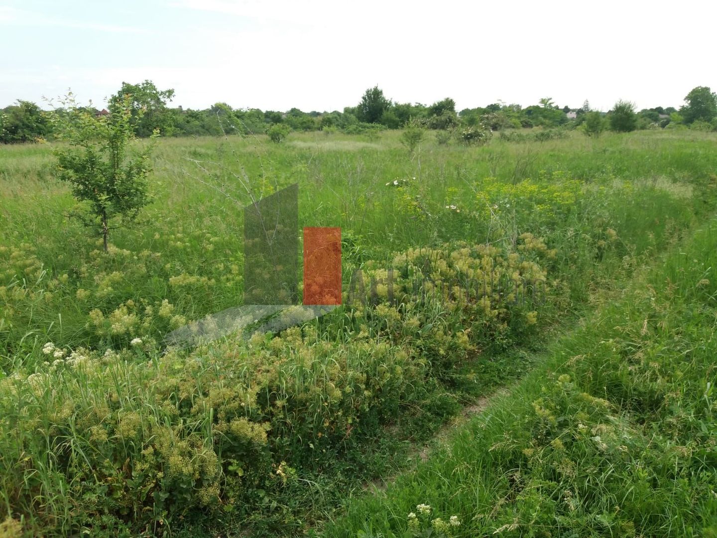 Teren Buftea cu iesire la lac - Poză 10